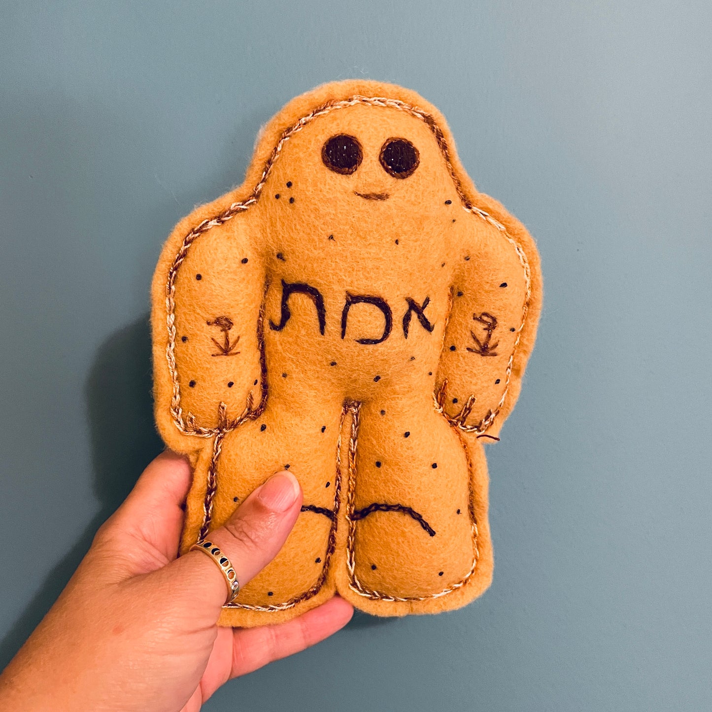 Chocolate Chip Felt Golem/et | 9th Minyan